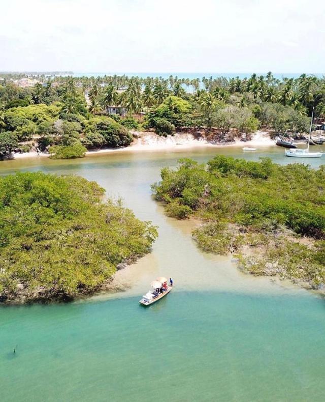 Class Eco Life Porto de Galinhas